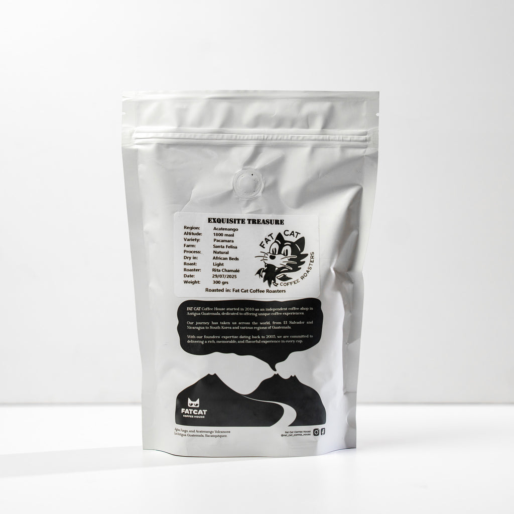 Light Roast - Fat Cat Coffee